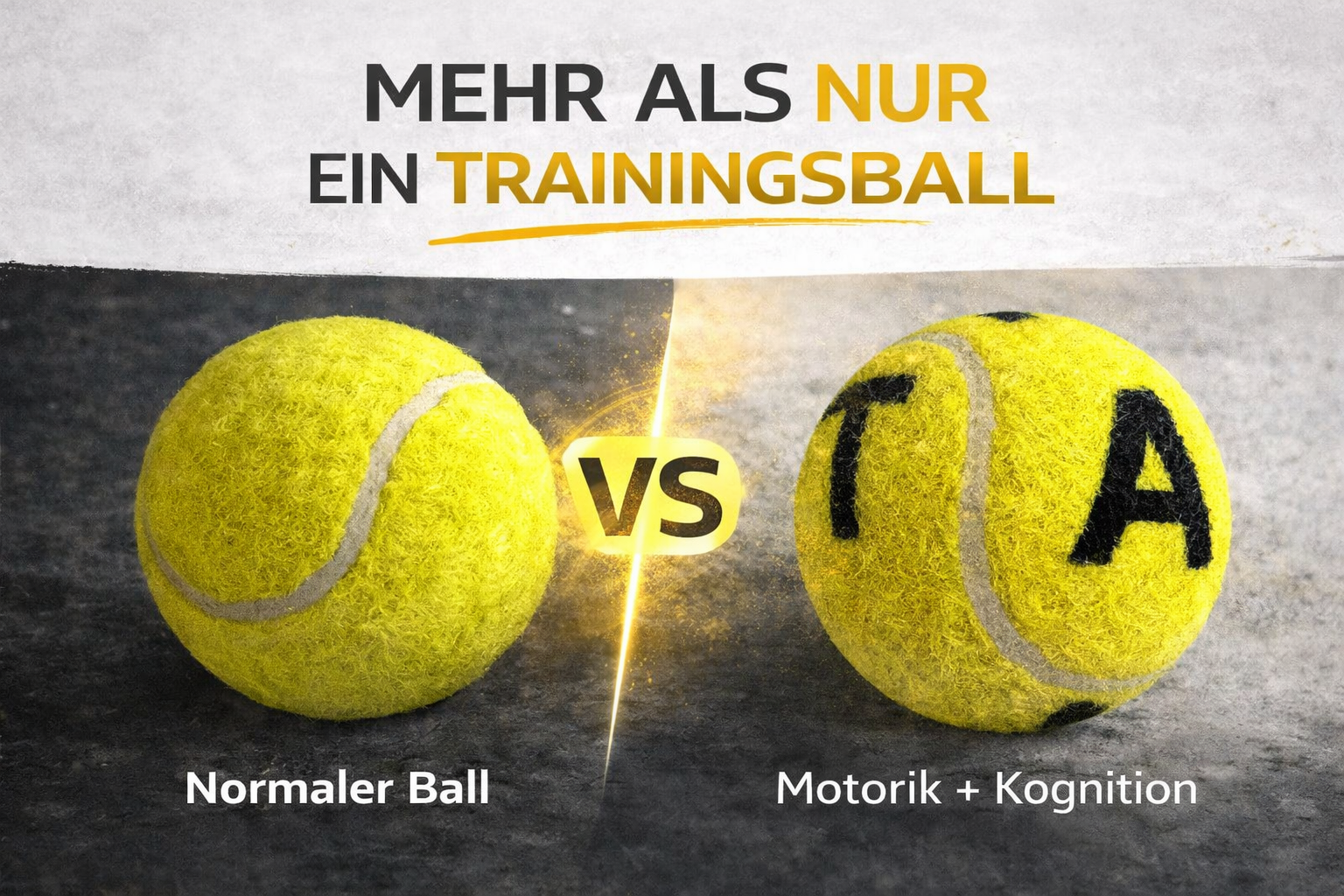 HALE Letterball – Vision Training Ball für Reaktion & Augen-Hand-Koordination